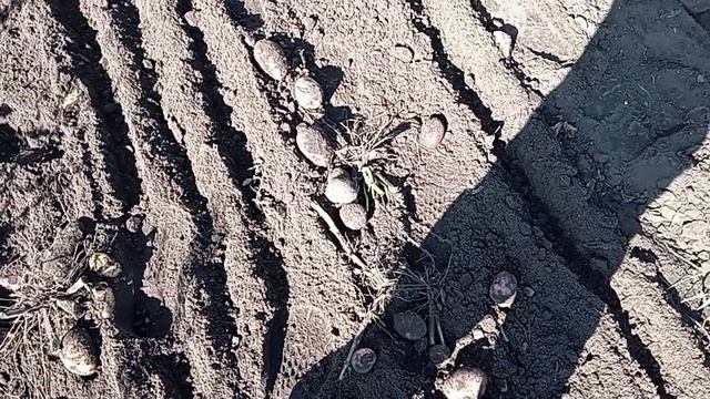 КАРТОФЕЛЕКОПАЛКА СВОИМИ РУКАМИ( как всегда из хлама)