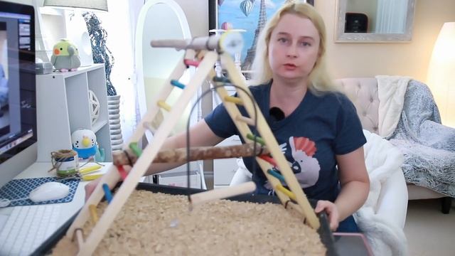 КАК СДЕЛАТЬ ИГРОВОЙ СТЕНД ДЛЯ ПОПУГАЯ СВОИМИ РУКАМИ DIY