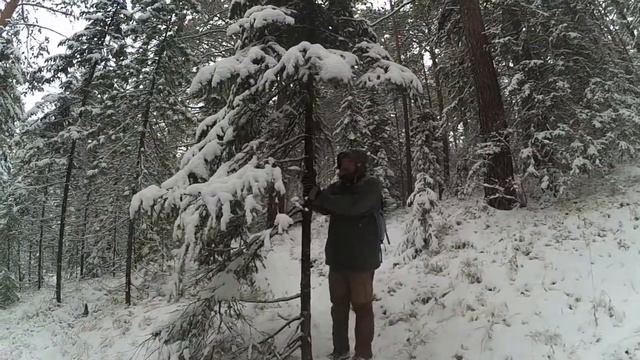 Красноярские Столбы - Гигантские качели! Поход в национальный заповедник Столбы.  #1