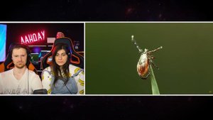 Ужасы Острова Гигантских Насекомых | РЕАКЦИЯ на Звездного Капитана