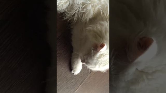 ььь