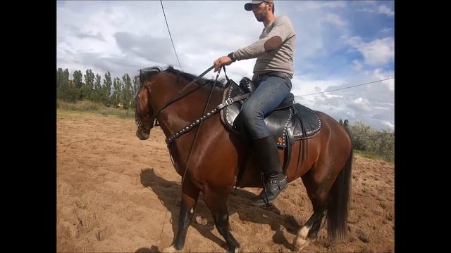 Кавалерийское седло