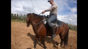 Кавалерийское седло