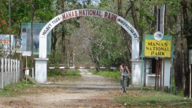 Manas National Park | Wikipedia audio article смотреть онлайн
