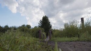 Последнее Лето на Дальнем Востоке. Граница России и Китая.