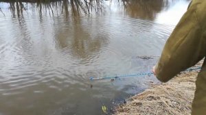 Рыбалка на кастинговую сеть весной