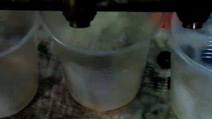 Промывка ФОРСУНОК на GA15DE ниссан 98 г.в.