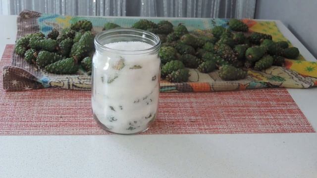 Ценное СЫРЬЁ - ЗЕЛЁНЫЕ ШИШКИ СОСНЫ Заготавливаем ежегодно