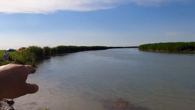 Рыбалка на протоках Или, дельта, Балхаш.Шмурдяк, лайфхаки для рыбалки смотреть онлайн