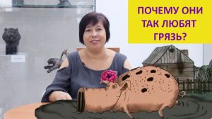 Правда ли, что свиньи любят грязь? Наталья Носова