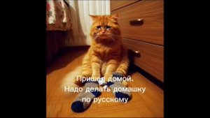 Сегодня математик англисик исторея русский (все части) @tankers100