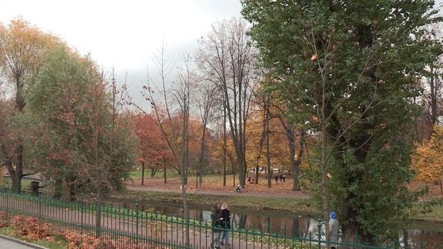 10 000 ШАГОВ КАЖДЫЙ ДЕНЬ | Сколько нужно ходить километров в день чтобы быть здоровым смотреть онлайн