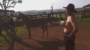 Нарезка приколов про лошадей #1