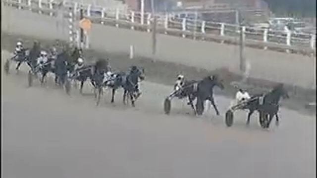 I AM GRIF a Milano 26/01/2008 смотреть онлайн