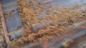 Навозоразбрасыватель ПРТ