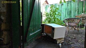 ✅Как избавится от вредителей СВЧ излучением из Микроволновой Печи