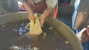 Воскование утки. Видео от МясТехМаш.