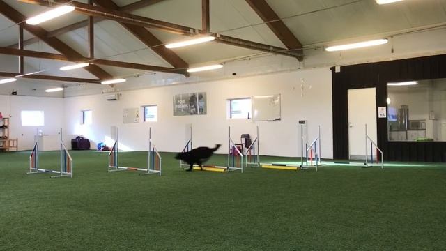 190419 Hoppteknik_Progressive grid slice смотреть онлайн