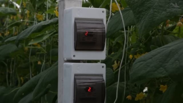 Зимняя теплица из ПВХ профиля. Выращивание овощей зимой. Автоматизация теплиц