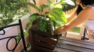 Садовая мебель обзор Hitsad.ru ★ Кованая мебель и декор * Дача ландшафтный дизайн