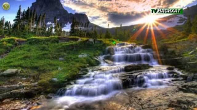 ТВ Насих|ат ,Ислам смотреть онлайн