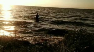 рыбалка с ночевкой. ловля угря и окуня.