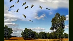 Юрий Нарижний - "Журавлиная песня"