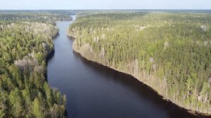 Любимовское Озеро. Рыбная Ферма