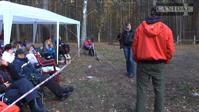 Учим собаку кусаться/Дрессировка собак смотреть онлайн