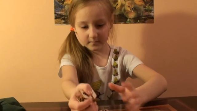 Эрудит! Развиваем логику и мышление.