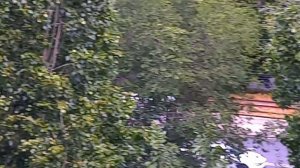 Скорые с сиренами