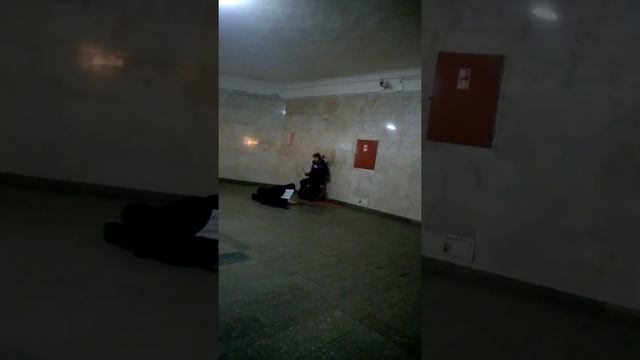 Играет в метро уличные музыкантыскрипка