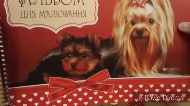 Я и мои любимые вещи с Йоркширским терьером💞💞💞💞💗💗💗💗💗💖💖💖💘💘❤ смотреть онлайн