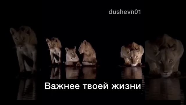 Самое главное и важное в жизни - это семья✊?