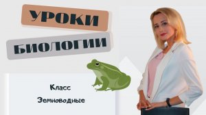 Класс Земноводные