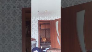 КАК СДЕЛАТЬ ПЕРЕВОРОТ ВПЕРЕД!!ВИДЕО СОРВАЛОСЬ!!