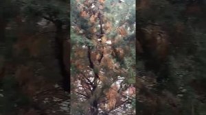 Гостевой дом Сапфир. Вид с балкона, 4 этаж