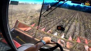 Первая серьезная поломка ВЕКТОР 410. Убираем подсолнечник