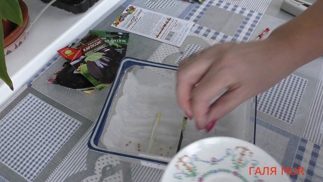 Срочно! Сеем баклажаны смотреть онлайн