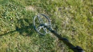 Ведьмины круги? Или что это?