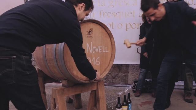 BenQ Creative Pills: Atipus, el diseño de packaging de vino смотреть онлайн