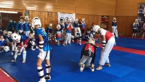 Тхэквондо, удары с разворота.