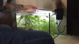 Фильтр водопад. Обзор на фильтр навесной SunSun HBL-301. Hanging Filtre