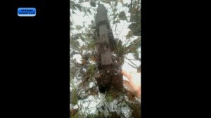 МЯСНОЙ БОР ЧАСТЬ 4 / КОТЕЛ