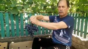 Виноград Руслан. Предпродажная подготовка 2015