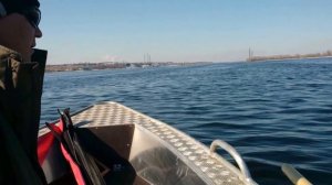 Wellboat 37 & Yamaha 15
