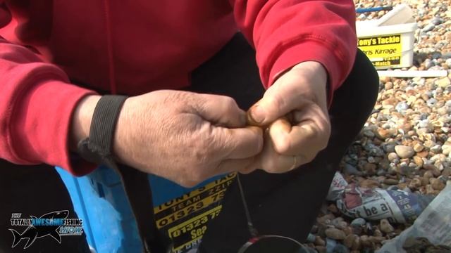 How to Hook a Worm for Sea Fishing | TAFishing смотреть онлайн