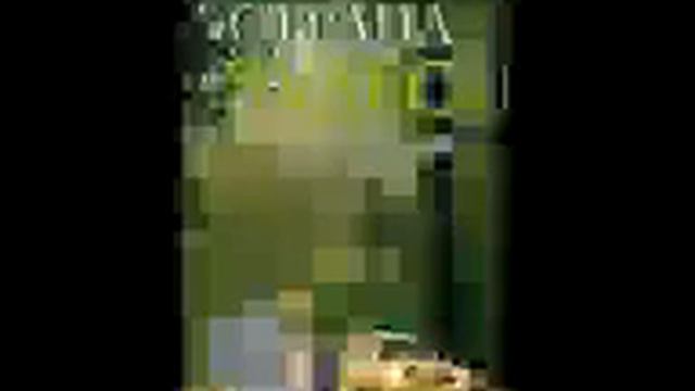 Страна чудес и другие рассказы Протоиерей Андрей Ткачёв смотреть онлайн