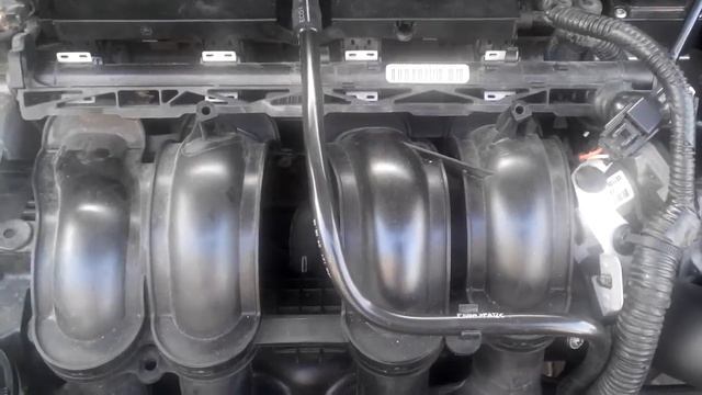 Focus 1.6 Ti-vct start смотреть онлайн