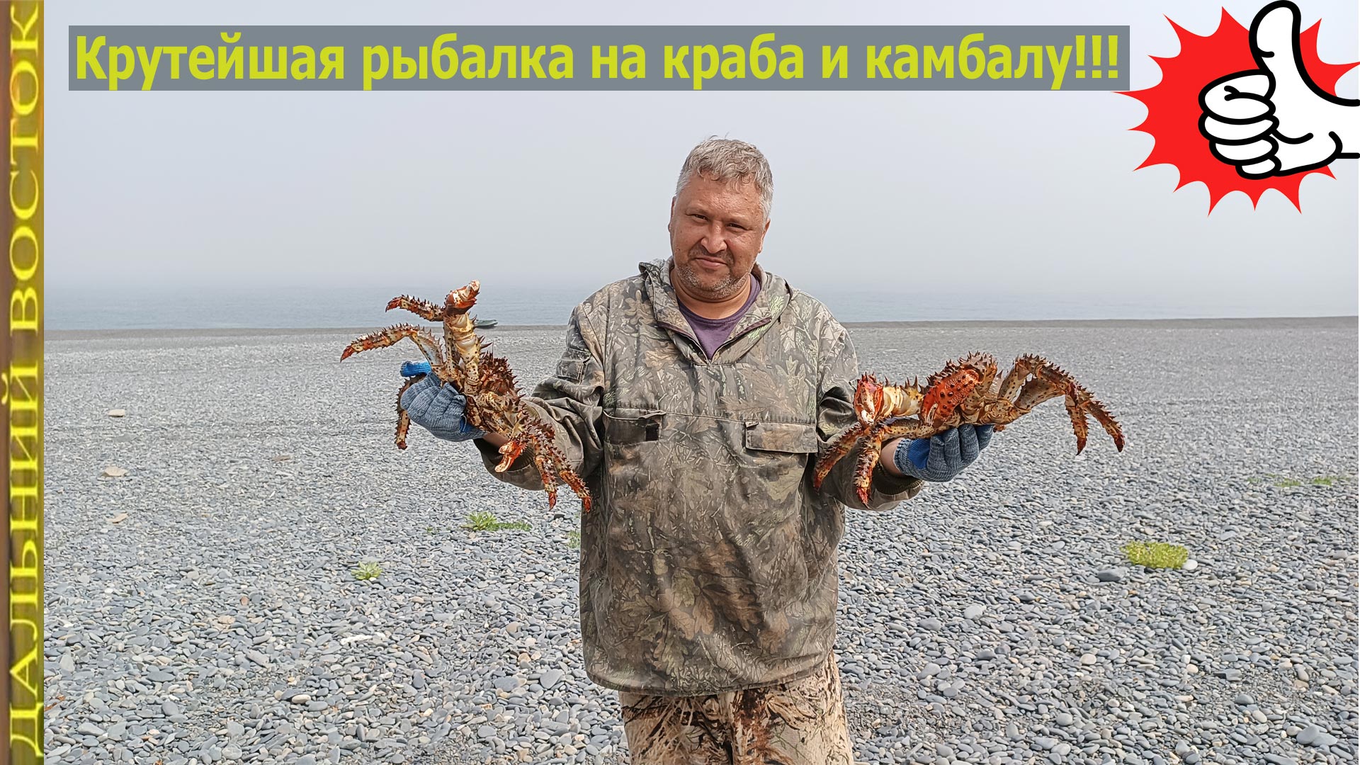 крабы белого моря